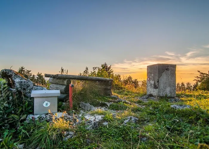 Apartma House On The Hill *